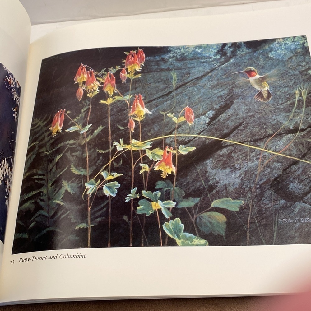 Portraits of nature paintings by Robert Bateman book - Picture 6 of 13